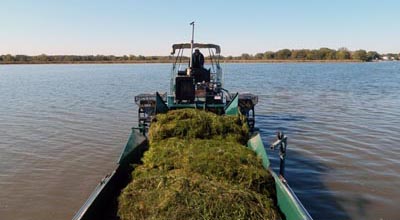 CCLRD Weed Harvesting and Removal